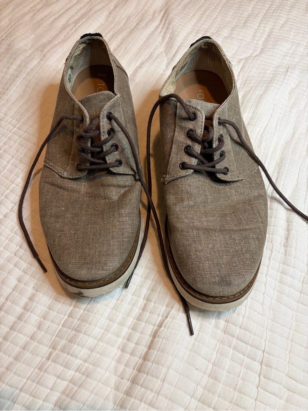 Toms Men's Canvas Derby Shoes in Gray-Brown